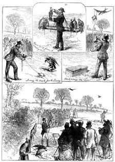 Hawking at Hendon, 1871. Creator: Unknown