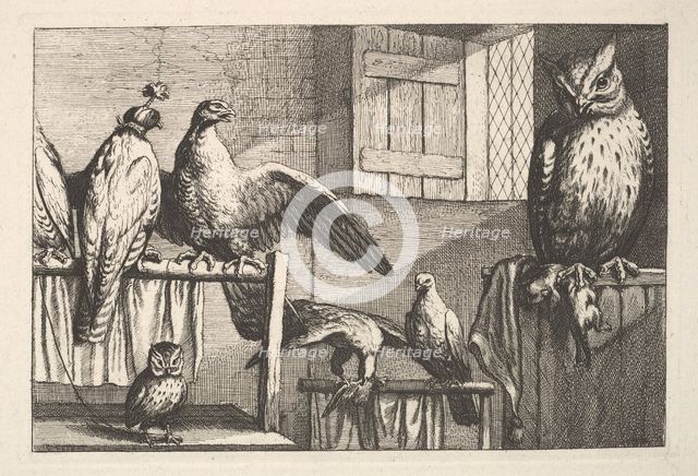 Hawks and owls, 1625-77. Creator: Wenceslaus Hollar.