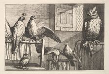 Hawks and owls, 1625-77. Creator: Wenceslaus Hollar