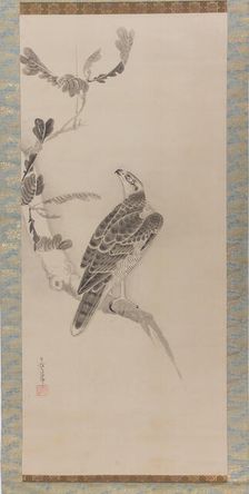 Hawks (Taka zu), mid-17th century. Creator: Soga Nichokuan