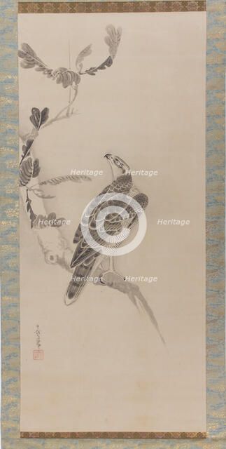 Hawks (Taka zu), mid-17th century. Creator: Soga Nichokuan.