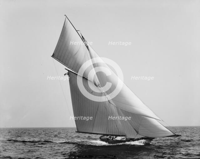 Hawk, 1890 June 8. Creator: Unknown.