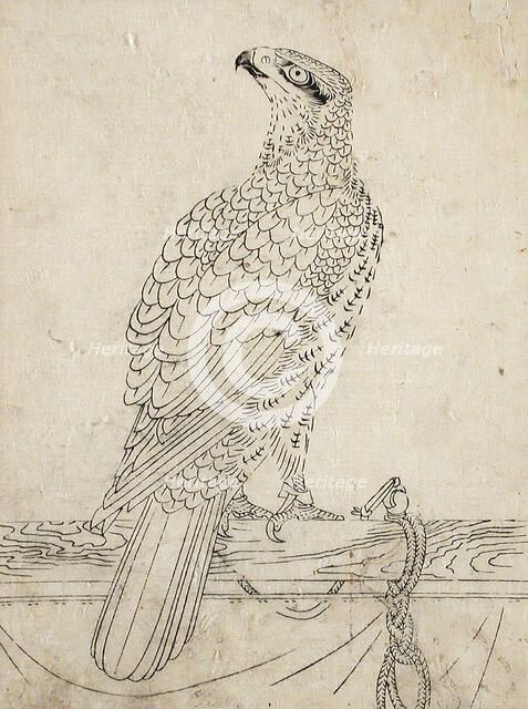 Hawk Tethered to a Perch, 1762. Creator: Unknown.