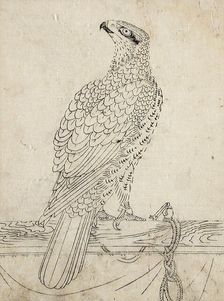 Hawk Tethered to a Perch, 1762. Creator: Unknown