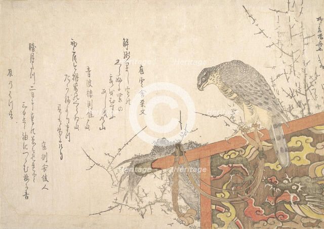 Hawk Tied to Perch. Creator: Shinsai.