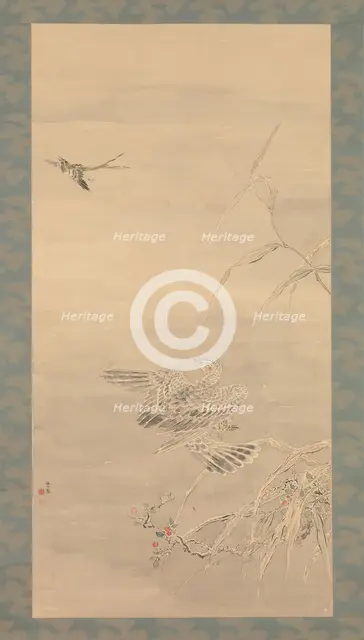 Hawk Grasping a Small Bird, 19th century. Creator: Tsubaki Chinzan.