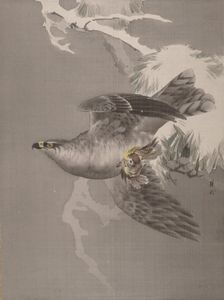 Hawk Holding a Small Bird, ca. 1891-92. Creator: Okada Baison