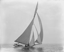 Hawk, July 22, 1891, 1891 July 22. Creator: Unknown