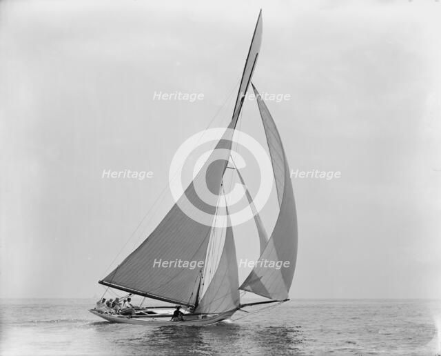 Hawk, July 22, 1891, 1891 July 22. Creator: Unknown.