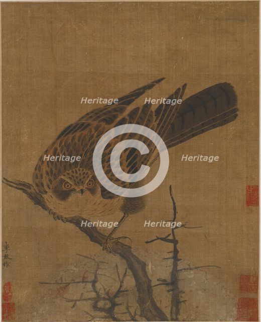Hawk on a leafless branch, Possibly Yuan dynasty, 1279-1368. Creator: Unknown.
