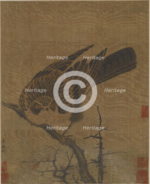 Hawk on a leafless branch, Possibly Yuan dynasty, 1279-1368. Creator: Unknown.