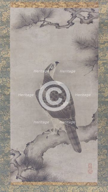 Hawk on a Pine (Shoo zu), 16th century. Creator: Kano Yukinobu.