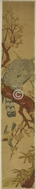 Hawk on Plum Branch Looking Down at Fleeing Bird, c. 1775. Creator: Isoda Koryusai.