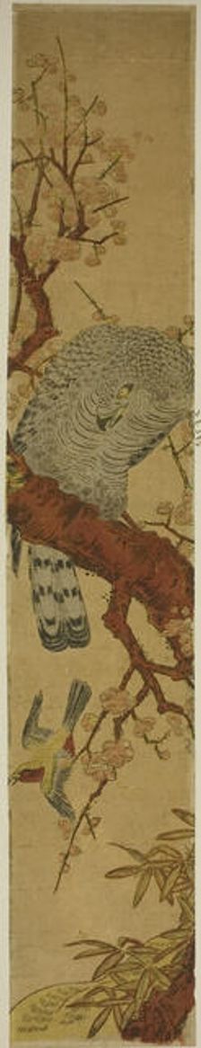 Hawk on Plum Branch Looking Down at Fleeing Bird, c. 1775. Creator: Isoda Koryusai