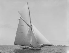 Hawk, Sept. 5, 1892, 1892 Sept 5. Creator: Unknown