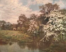 Hawthorn Blossoms c1899, (c1902). Creator: Unknown