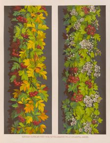 Hawthorn flower and fruit from Nature arranged for an ornamental border, 1850. Creator: Ludwig Gruner