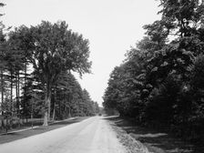 Hawthorne St., north, Lenox, Mass., c.between 1910 and 1920. Creator: Unknown