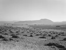 Hay and clover, pasture land, corn land, grain land, Sunset Valley, Malheur County, Oregon, 1939. Creator: Dorothea Lange