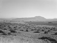 Hay and clover, pasture land, corn land, grain land, Sunset Valley, Malheur County, Oregon, 1939. Creator: Dorothea Lange