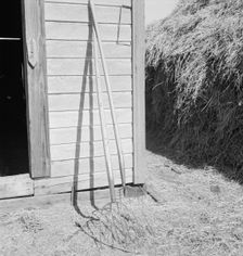 Hay forks, Northern Oregon farm, Morrow County, Oregon, 1939. Creator: Dorothea Lange