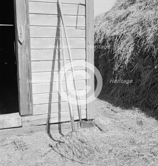 Hay forks, Northern Oregon farm, Morrow County, Oregon, 1939. Creator: Dorothea Lange.