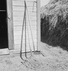 Hay forks, Northern Oregon farm, Morrow County, Oregon, 1939. Creator: Dorothea Lange