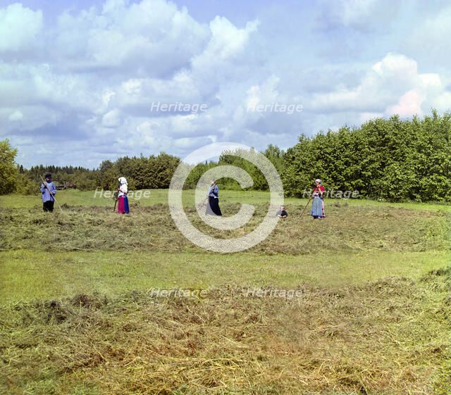 Haying [Russian Empire], 1909. Creator: Sergey Mikhaylovich Prokudin-Gorsky.