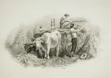 Haying Scene, 19th century. Creator: Felix Octavius Carr Darley