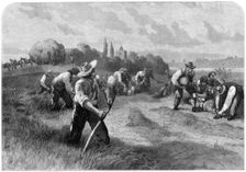 Haymaker 1875.Artist: W Hollidge