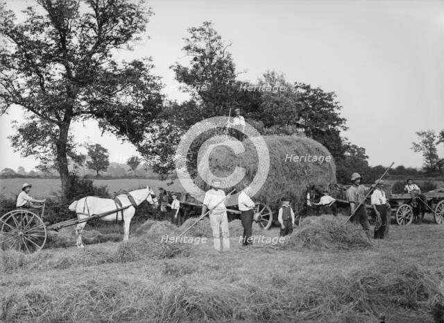 Haymaking near Byfield, Northamptonshire, 1908. Artist: A Newton