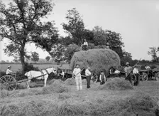 Haymaking near Byfield, Northamptonshire, 1908. Artist: A Newton