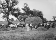Haymaking near Byfield, Northamptonshire, 1908. Artist: A Newton