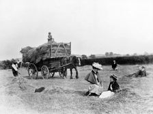 Haymaking, Clifton, Nottinghamshire, 1895