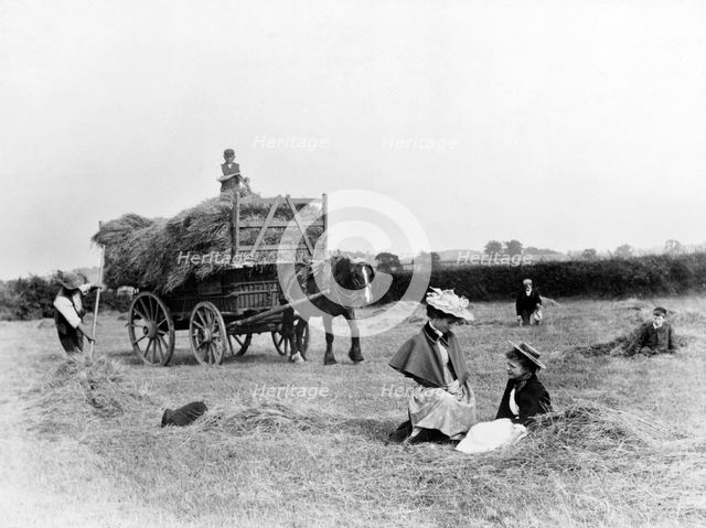 Haymaking, Clifton, Nottinghamshire, 1895. Artist: Unknown