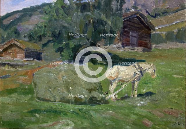 Haymaking in Vaga, unknown date. Creator: Fredrik Borgen.