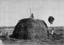 Haymaking, late 19th cent - early 20th cent. Creator: I Popov