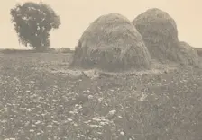 Haystacks, Ipswich, c. 1894. Creator: Arthur Wesley Dow