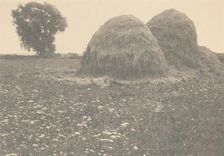 Haystacks, Ipswich, c. 1894. Creator: Arthur Wesley Dow