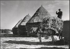 Hayricks, Ashridge Farm, Green End Road, Radnage, Wycombe, Buckinghamshire, 1930s. Creator: J Dixon Scott