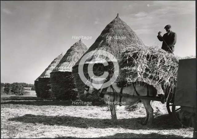 Hayricks, Ashridge Farm, Green End Road, Radnage, Wycombe, Buckinghamshire, 1930s. Creator: J Dixon Scott.