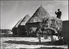 Hayricks, Ashridge Farm, Green End Road, Radnage, Wycombe, Buckinghamshire, 1930s. Creator: J Dixon Scott