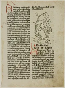Hazelwort from Gart der Gesundheit (Garden of Health), Plate 16...1487...assembled 1929. Creators: Unknown, Konrad Dinckmut, Johannes de Cuba, Wilhelm Ludwig Schreiber