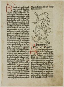Hazelwort from Gart der Gesundheit (Garden of Health), Plate 16...1487...assembled 1929. Creators: Unknown, Konrad Dinckmut, Johannes de Cuba, Wilhelm Ludwig Schreiber
