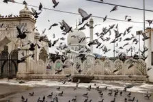 Hazratbal Shrine, Srinagar, Kashmir, India, 2023. Creator: Peter Thompson