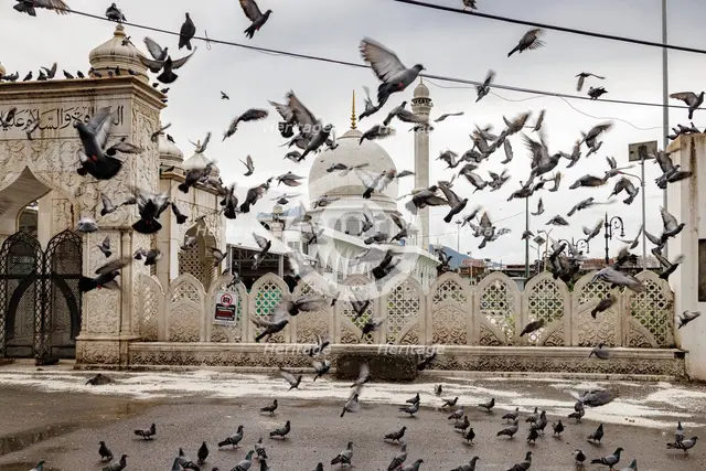 Hazratbal Shrine, Srinagar, Kashmir, India, 2023. Creator: Peter Thompson.