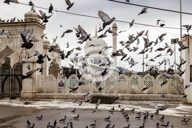 Hazratbal Shrine, Srinagar, Kashmir, India, 2023. Creator: Peter Thompson.