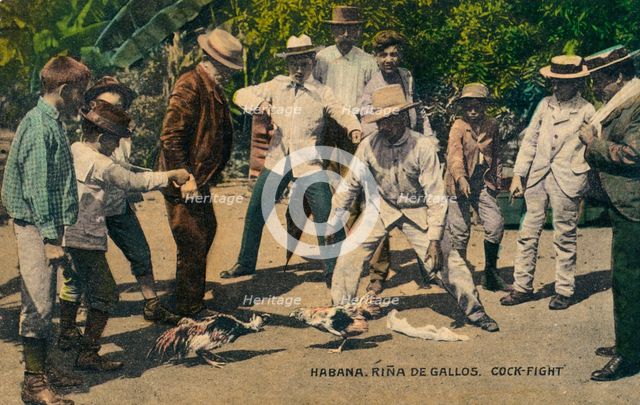 Habana. Rina de Gallos. Cock-fight, c.1900s. Artist: Unknown