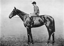 Hackler's Pride c1860, (1911)