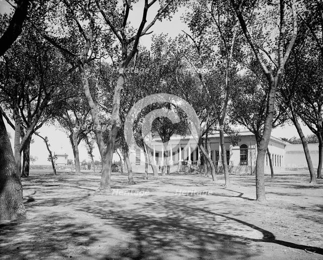 Hacienda Salinas, between 1880 and 1897. Creator: William H. Jackson.